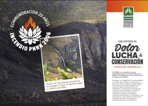 Las huellas del fuego: veinte años del incendio que cambió para siempre el páramo de Los Nevados